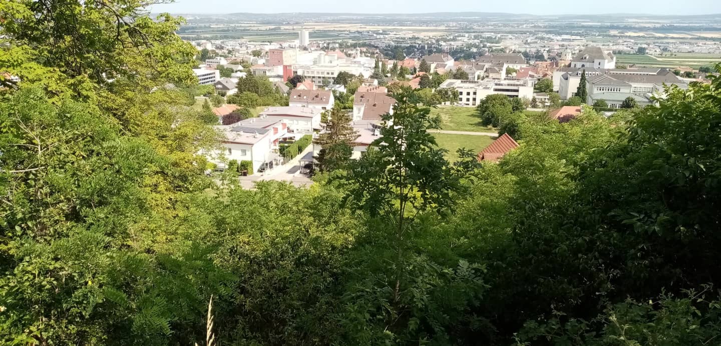 Sonniges Traumgrundstück nahe Schloss Esterházy