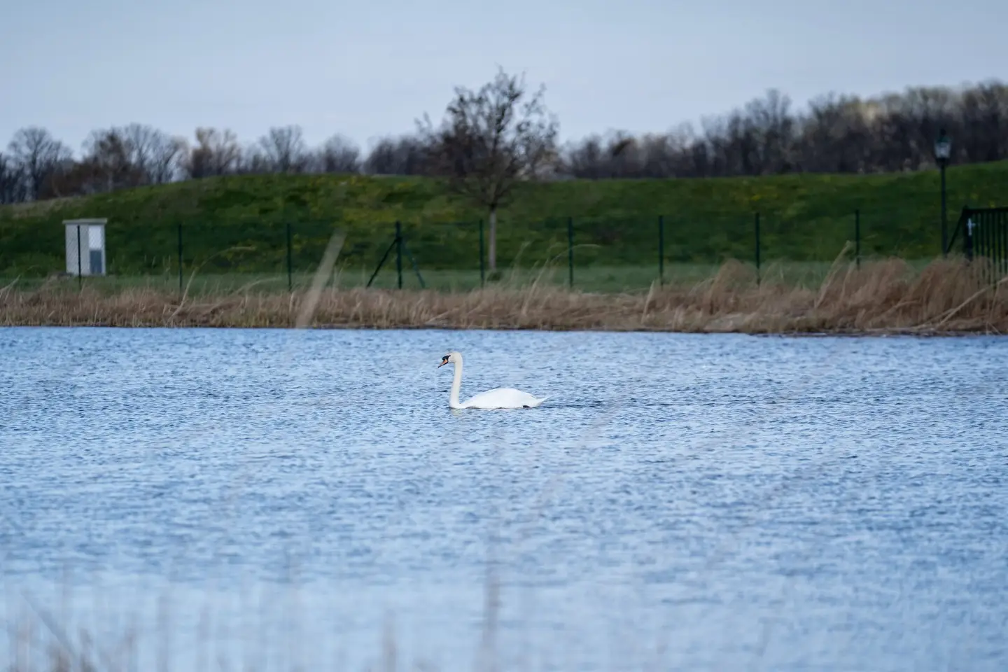 Lake plots in idyllic surroundings 595/32 COMMISSION-FREE