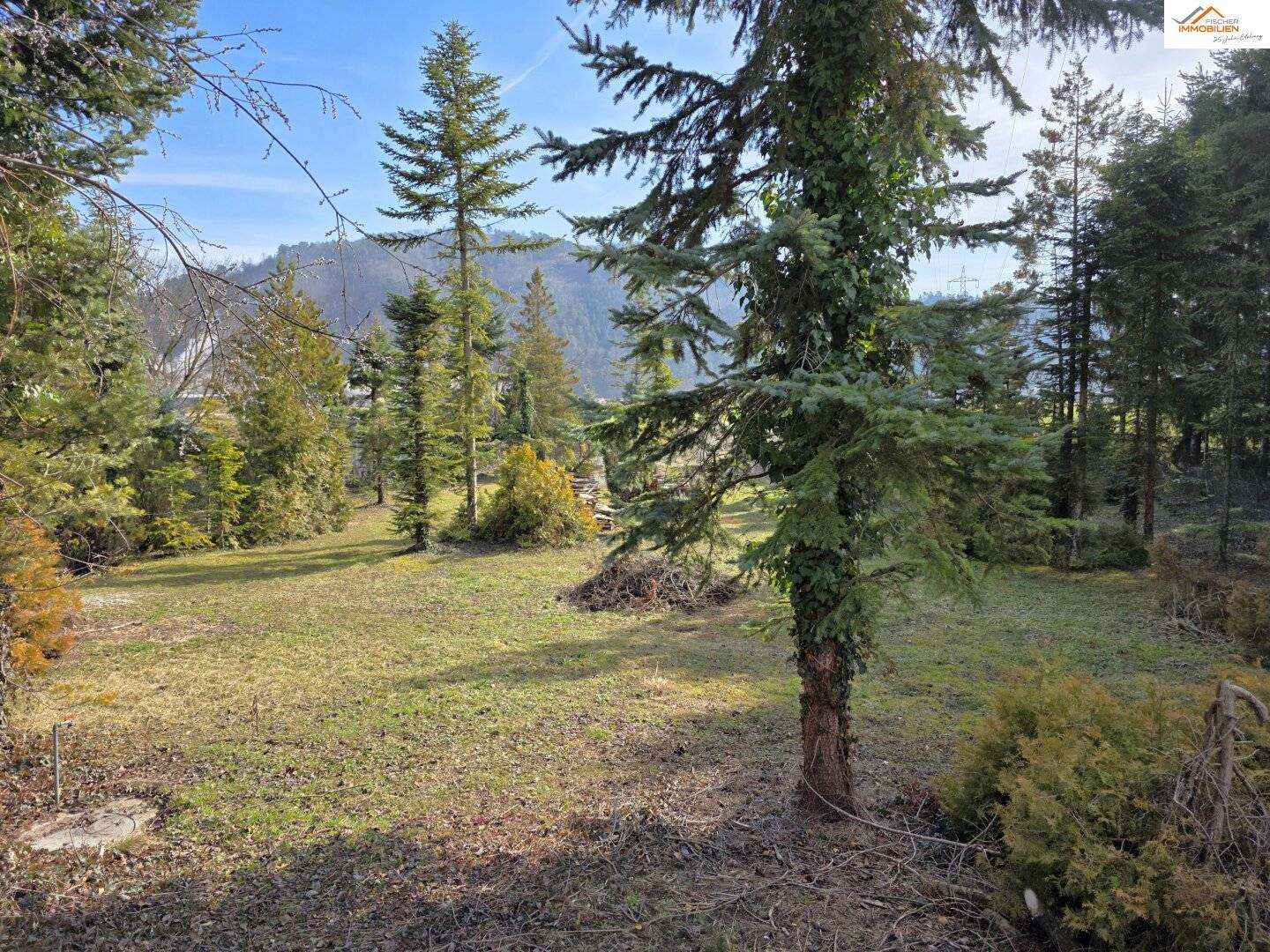 Platz für Haus, Pool und Garage ! Baugrundstück mit über 2.200m²