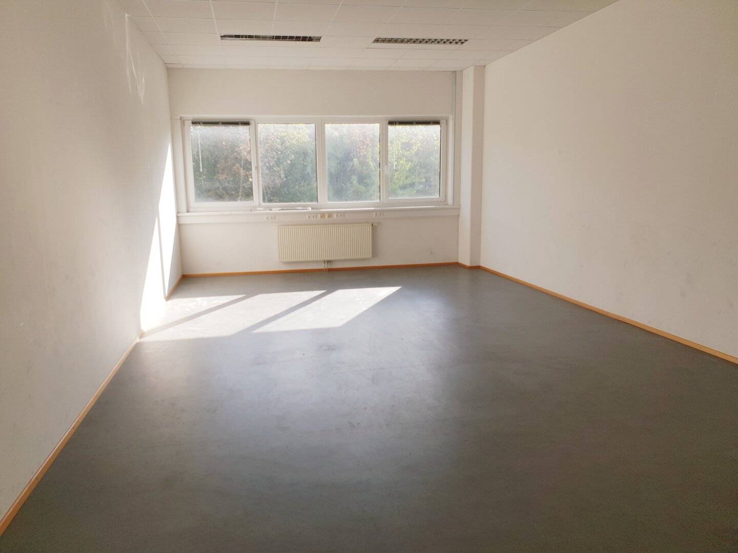 Company headquarters / office / association / or practice space for rent
