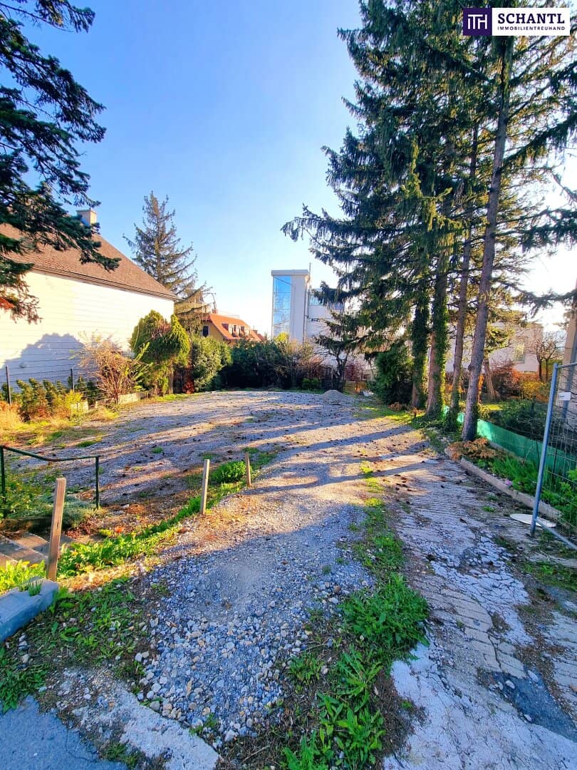 New price, rarity! Great building plot on Schafberg! Prime location plus attractive residential development possible or realize the dream of your own home! Act now