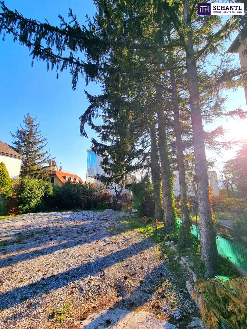 New price, rarity! Great building plot on Schafberg! Prime location plus attractive residential development possible or realize the dream of your own home! Act now