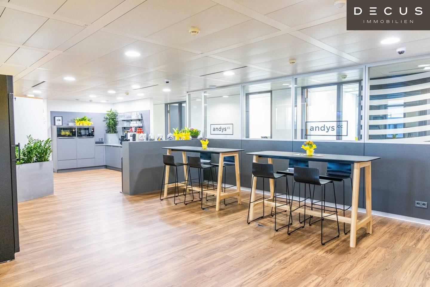 Office spaces and Co working in Business Center EUROPLAZA
