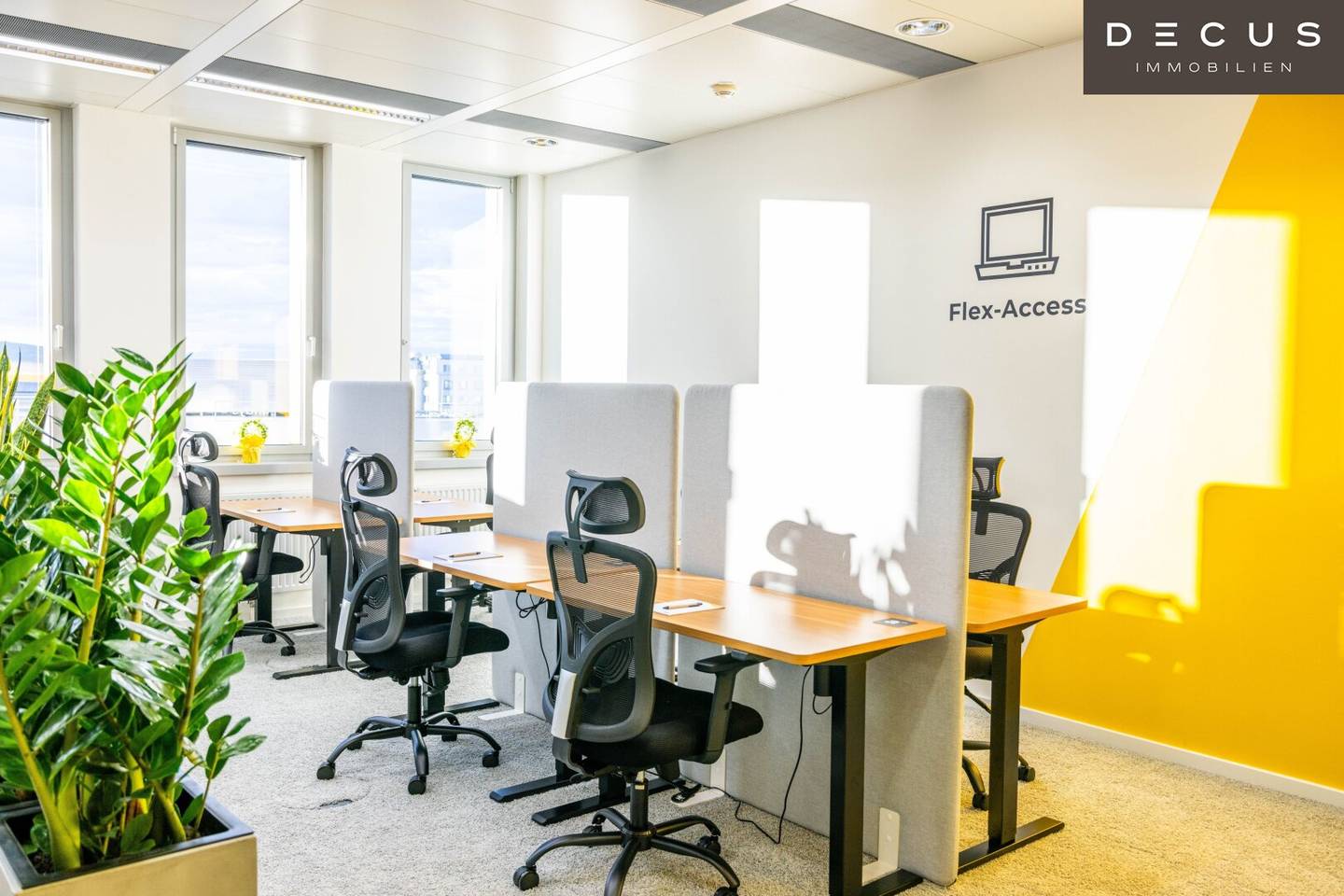 Office spaces and Co working in Business Center EUROPLAZA