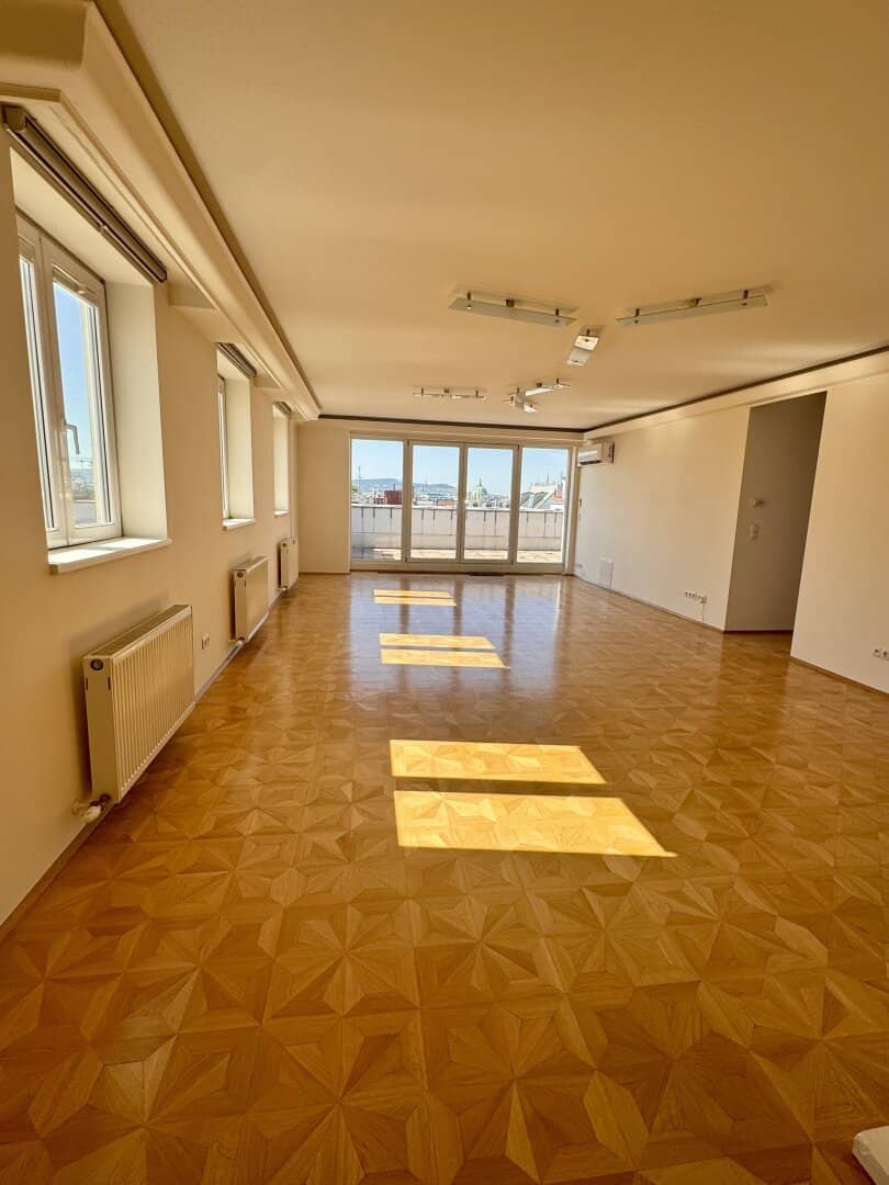 Magnificent penthouse with a dream view over Vienna's rooftops to Karlskirche and Stephansdom near Belvedere, air conditioned