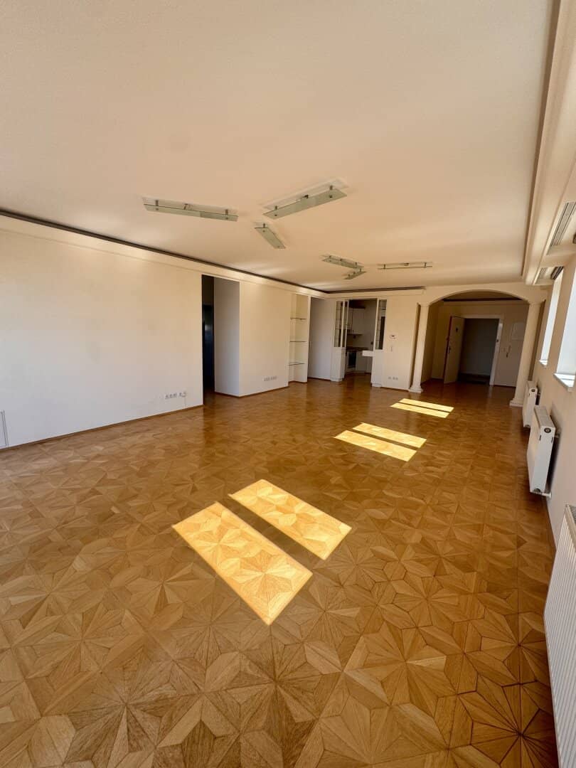 Magnificent penthouse with a dream view over Vienna's rooftops to Karlskirche and Stephansdom near Belvedere, air conditioned