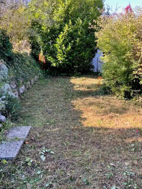 Sunny building plot in the Sachsenviertel