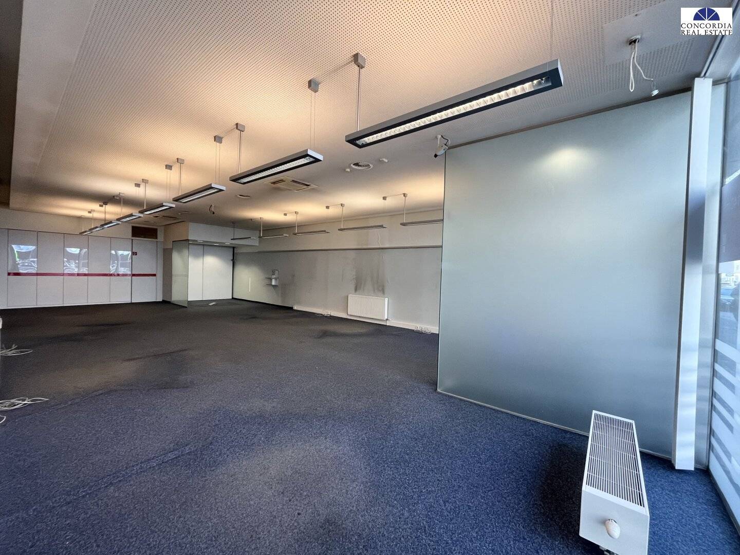 Büro-Praxisfläche ca. 140 m² - mit direkter U3 Anbindung  - Simmeringer Hauptstraße
