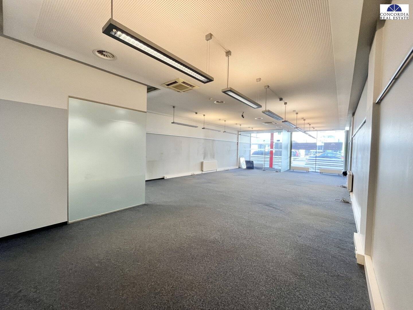 Büro-Praxisfläche ca. 140 m² - mit direkter U3 Anbindung  - Simmeringer Hauptstraße