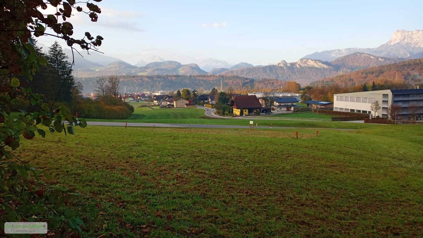 Hinaus ins Grüne! sonnenverwöhnter Baugrund