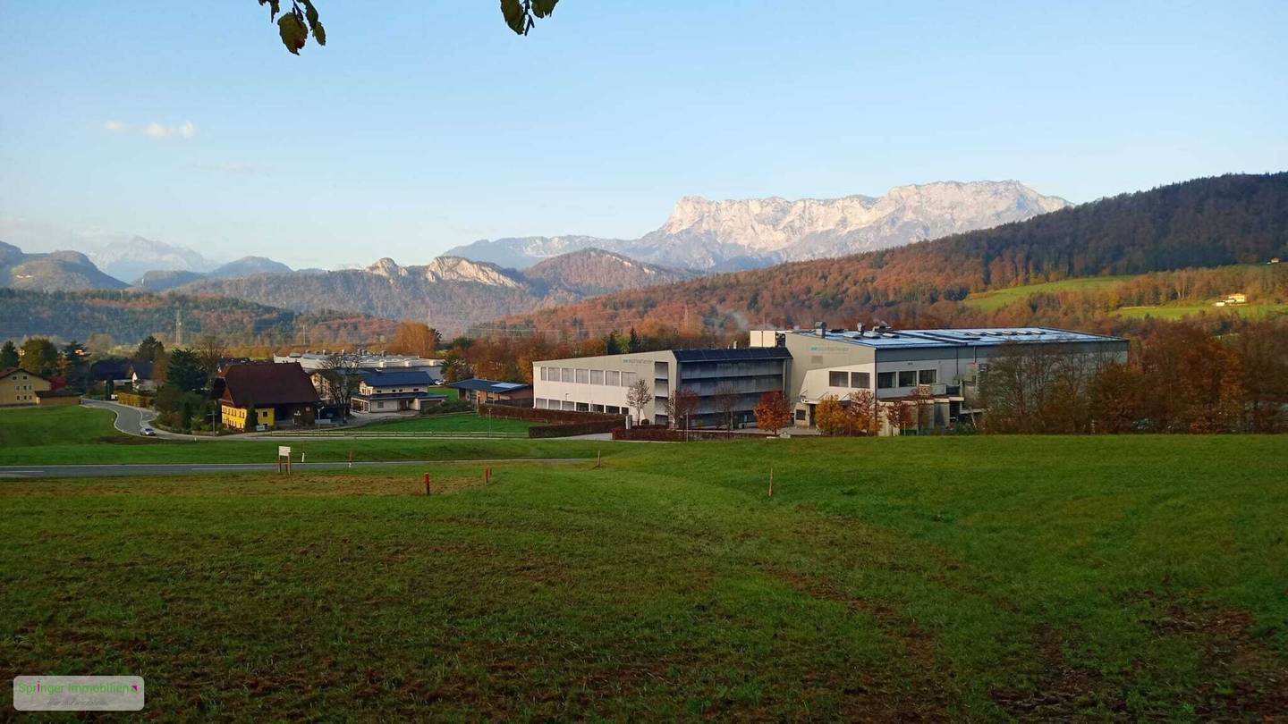 Hinaus ins Grüne! sonnenverwöhnter Baugrund
