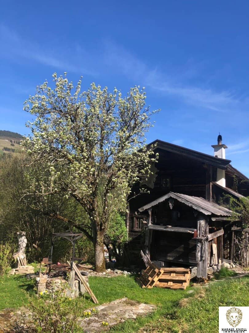 Original Mill, built around 1600 with garden portion