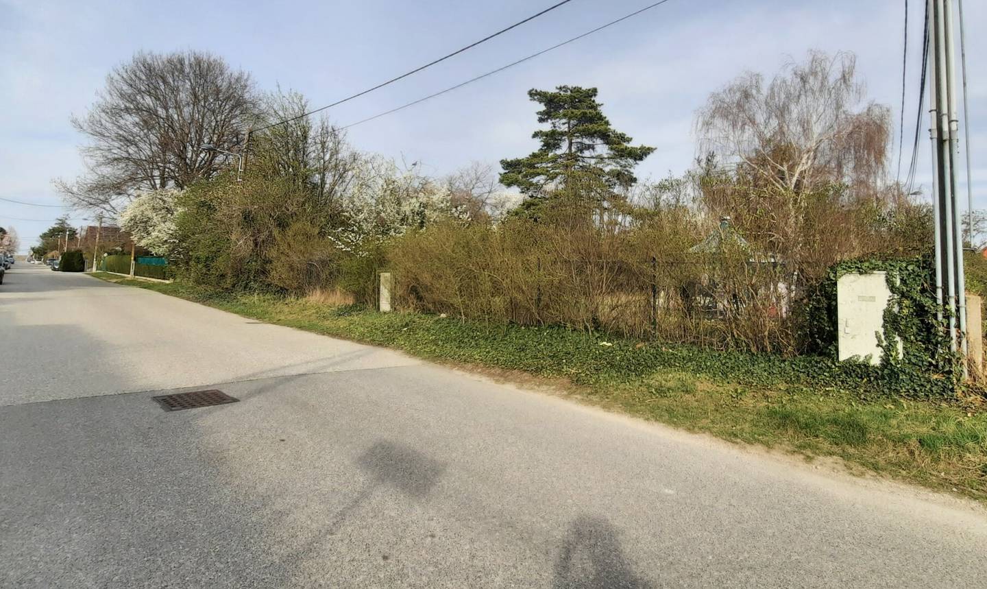 Bid Process! Green Quiet Location with Building Permit and High Space Efficiency