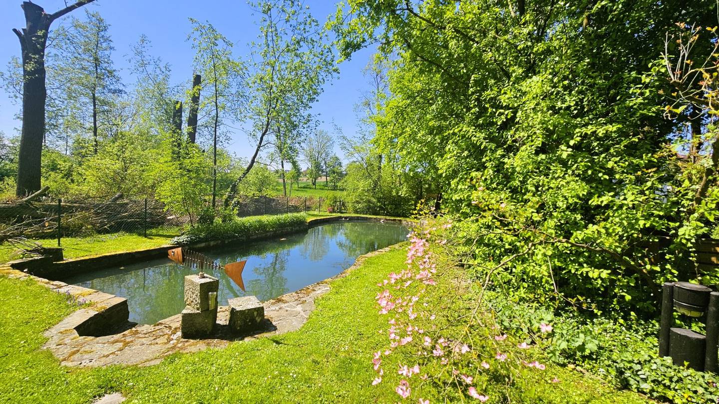 Naturparadies mit Fischteich - NEUER Preis