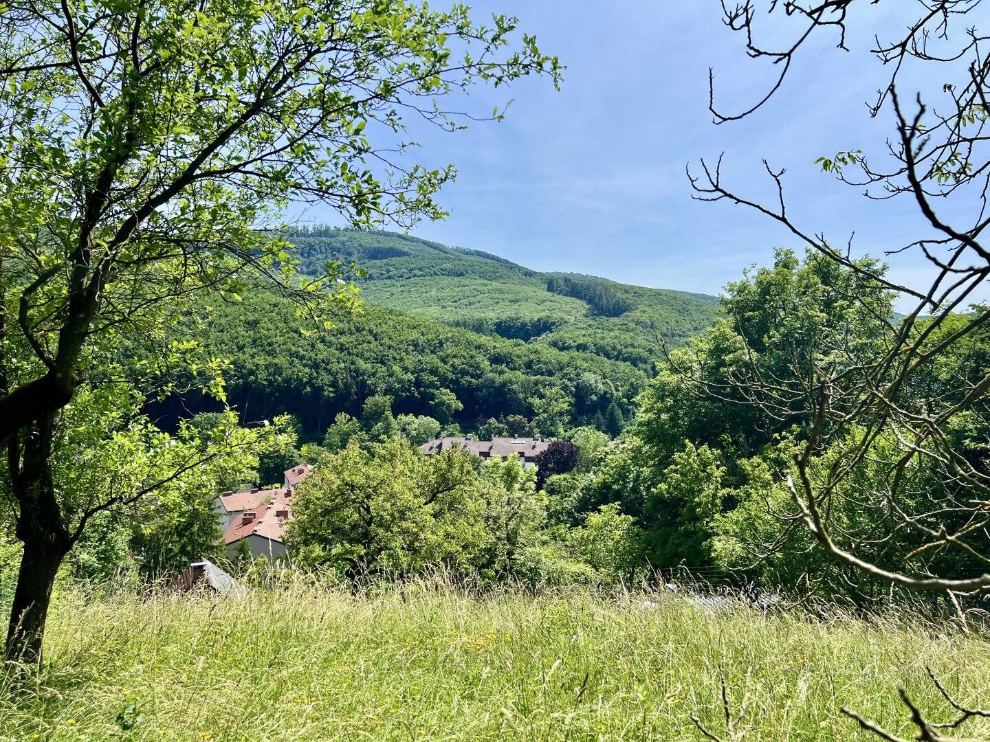 Single-family house to be modernized in hillside location