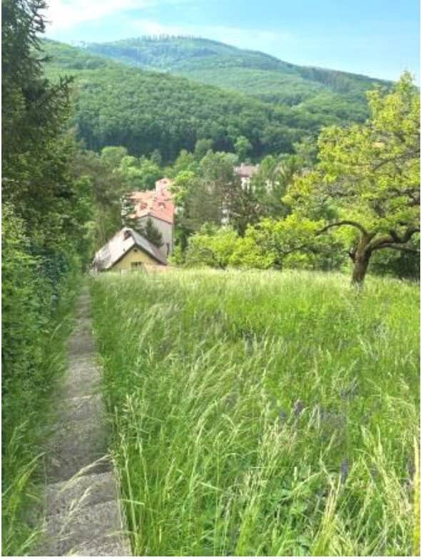 GRUNDSTÜCK MIT ALTBESTAND