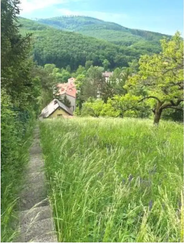 Plot with existing building