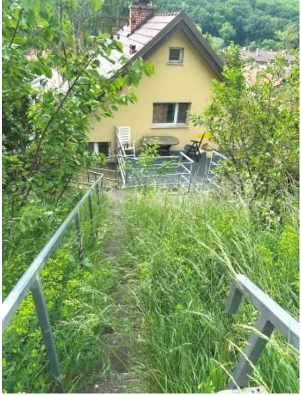 GRUNDSTÜCK MIT ALTBESTAND