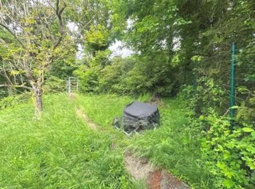 GRUNDSTÜCK MIT ALTBESTAND