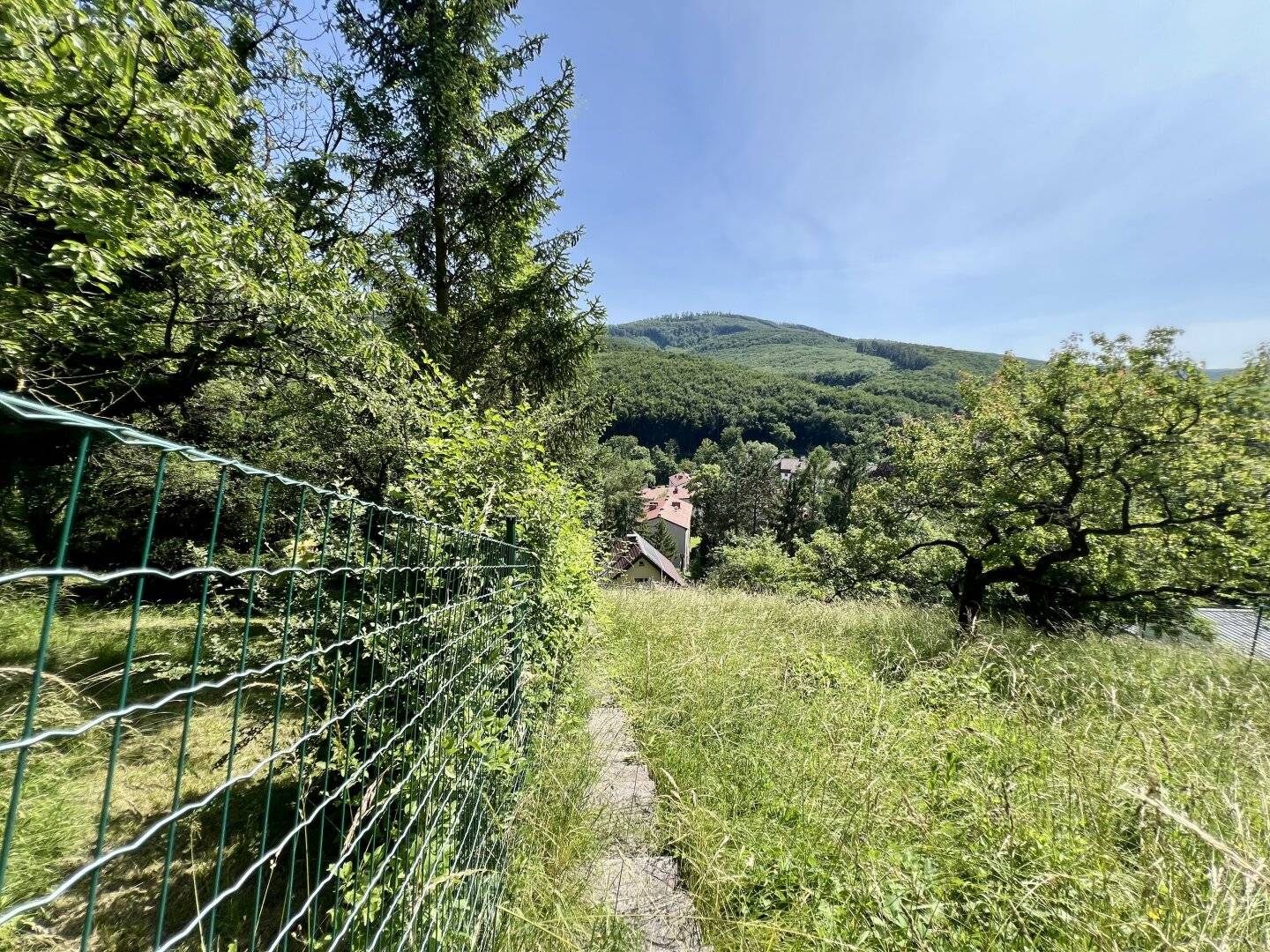 Single-family house to be modernized in hillside location