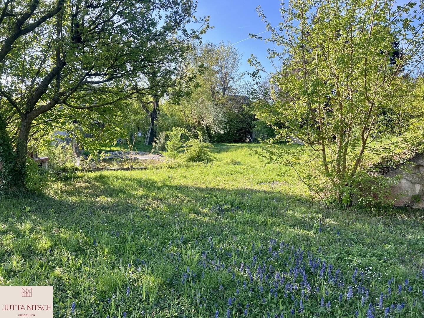 Dream home in Baden, a divisible property with a large natural garden and swimming pond