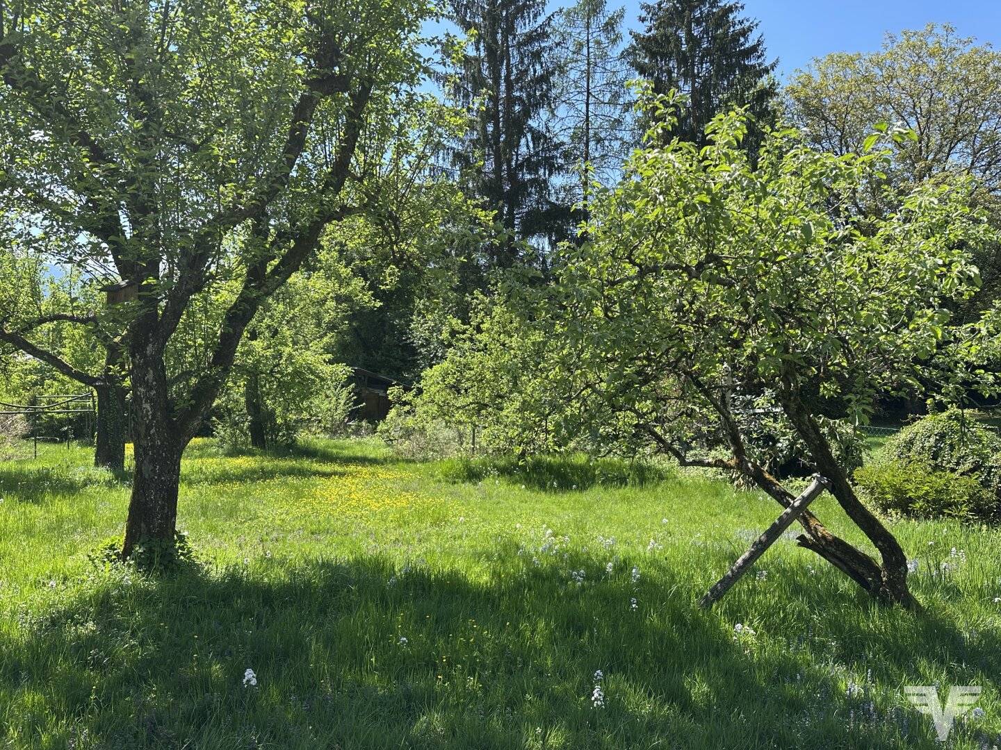 High-quality building plot with existing building - Salzburg/Parsch