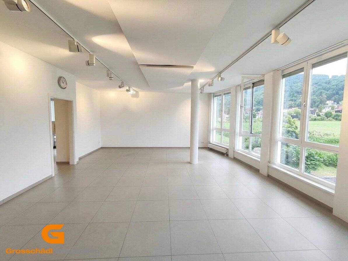 Salzburg Aigen Representative Maisonette Office/Showroom Combination with Garden for Rent