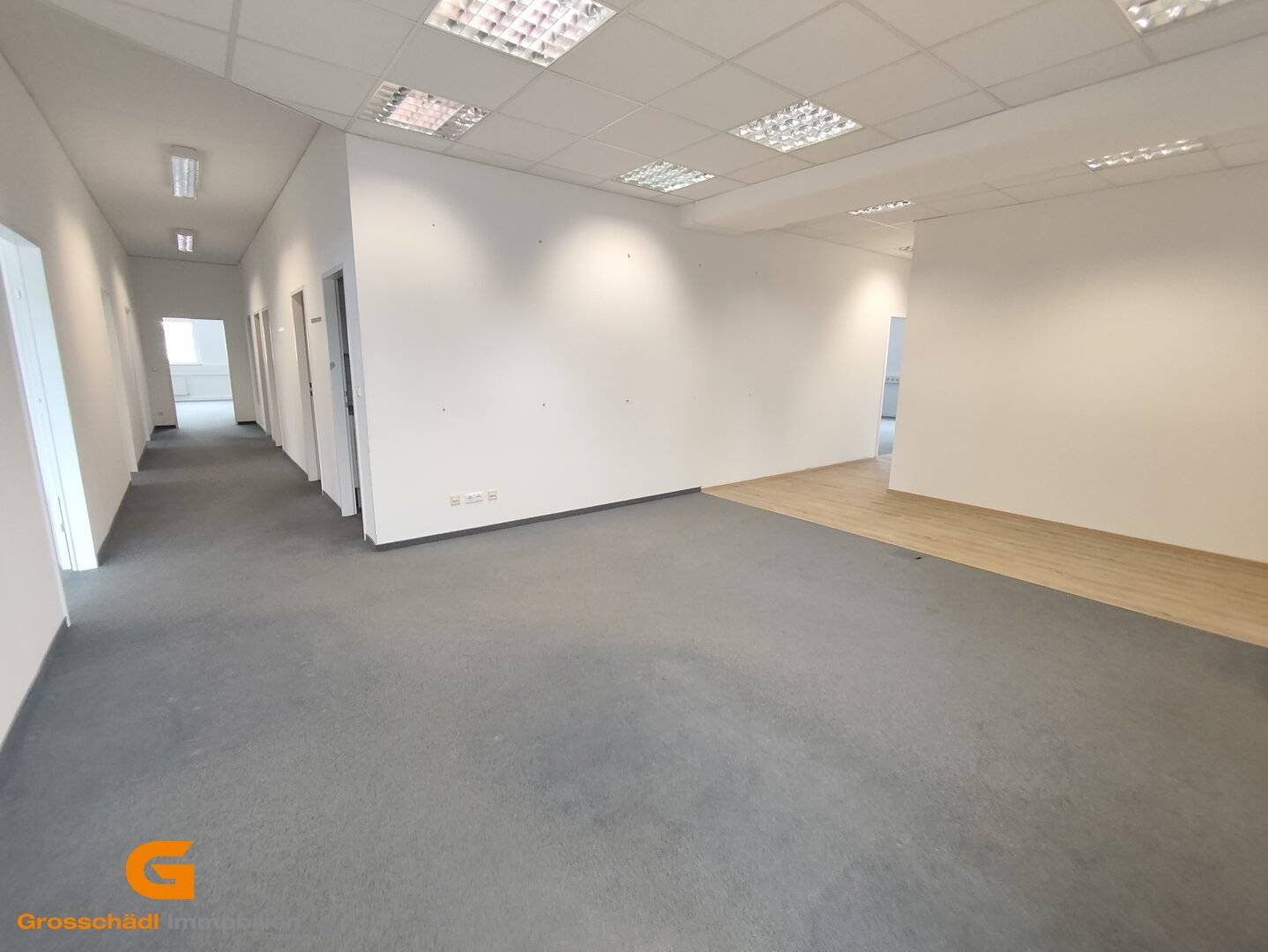 Commercial property: Office spaces with warehouse for rent in Wals-Siezenheim