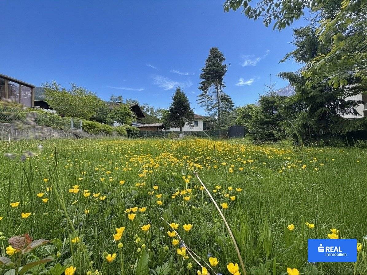 Building plot in the green