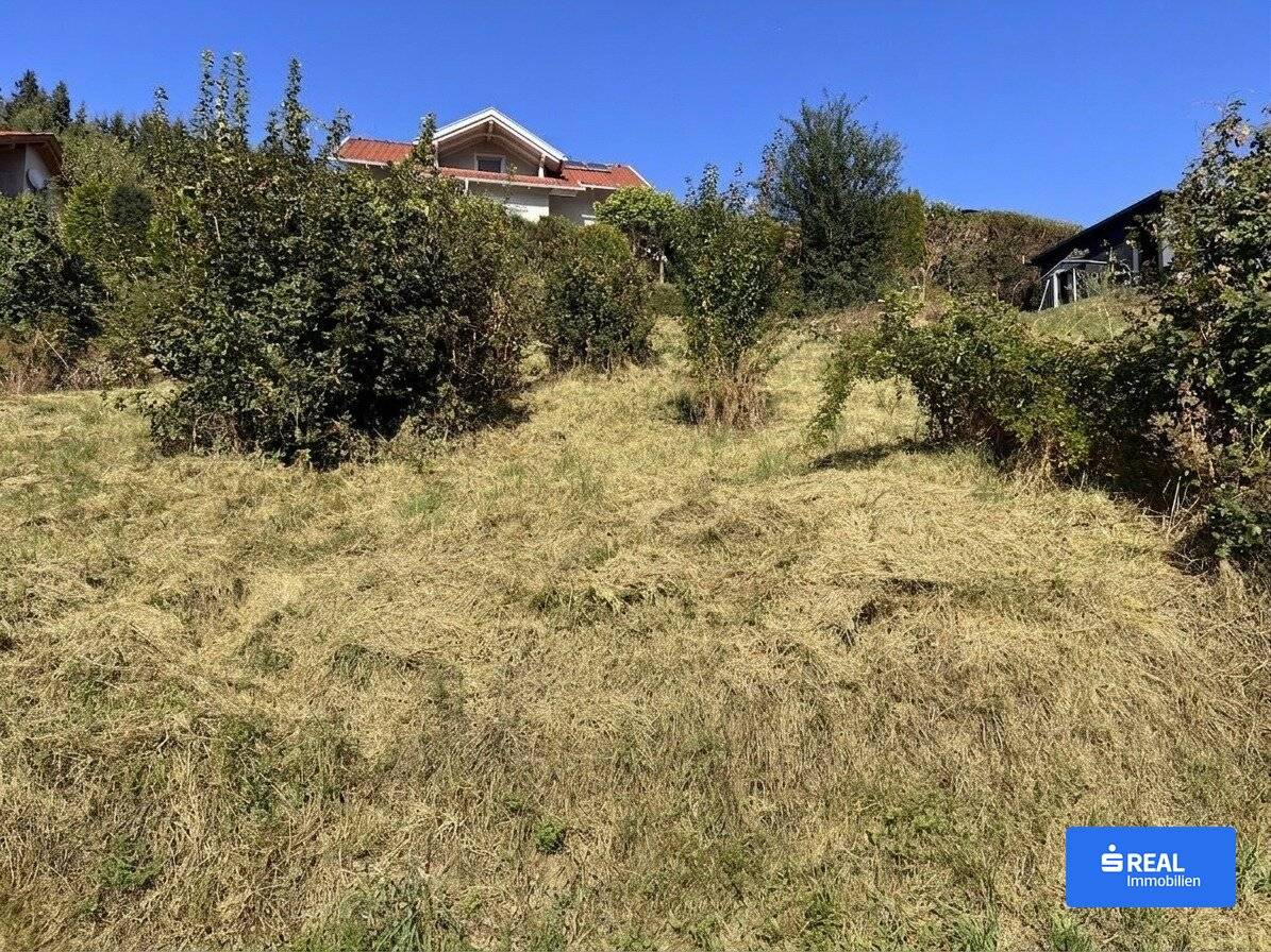 A prime spot in the sun: Your dream plot in Glantschach