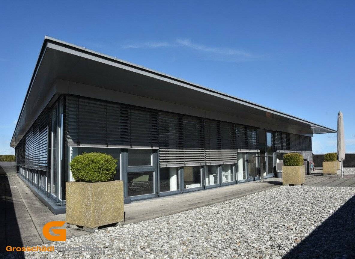 Penthouse office with terrace in Maxglan and option for office-residence combo noway? no wait, this is wrong? ensure text is correct? I must provide exact translation as planned.