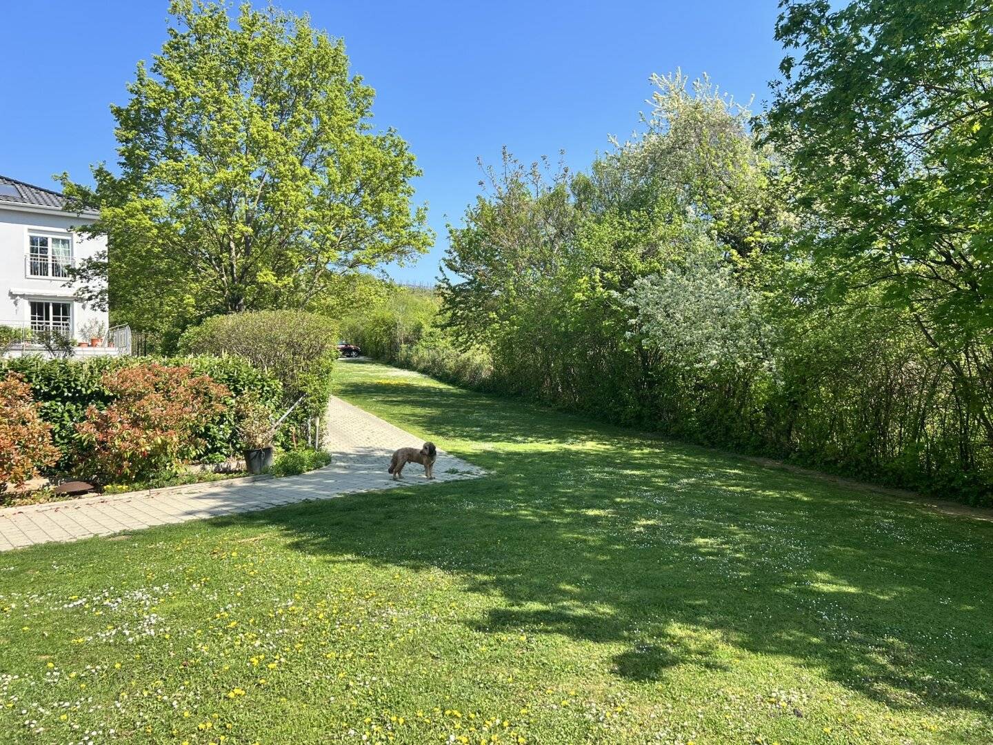 Modern, centrally located family villa with a large garden in a desirable green quiet location (!))?"? (note: keep original punctuation)