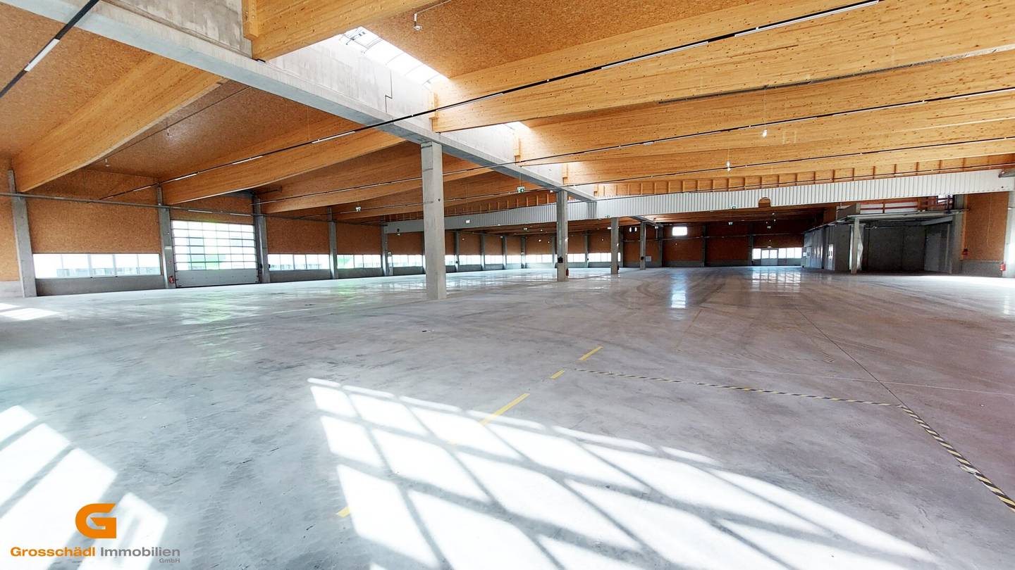 Neubau im Großformat :Unternehmens- standort im Salzburger Süden - Baurecht
