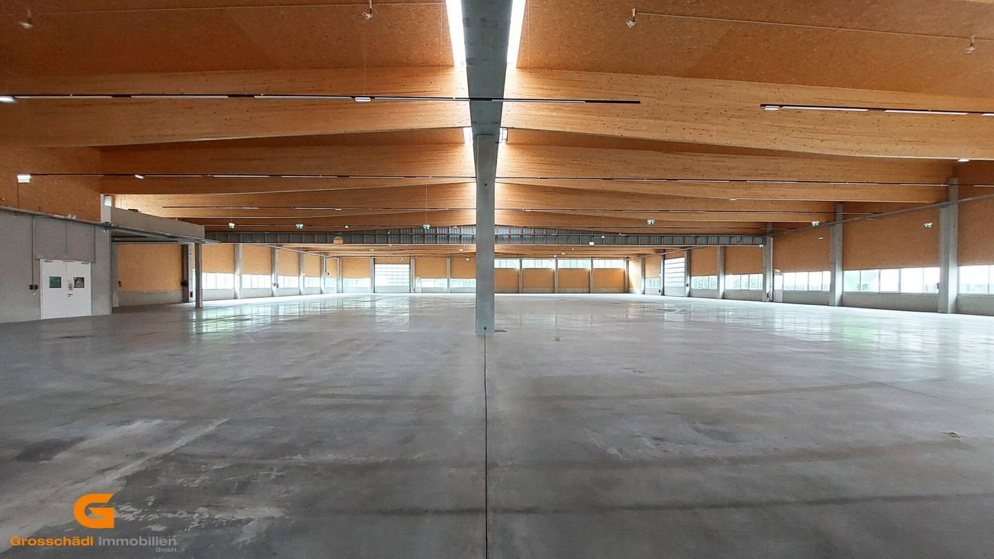 Neubau im Großformat :Unternehmens- standort im Salzburger Süden - Baurecht