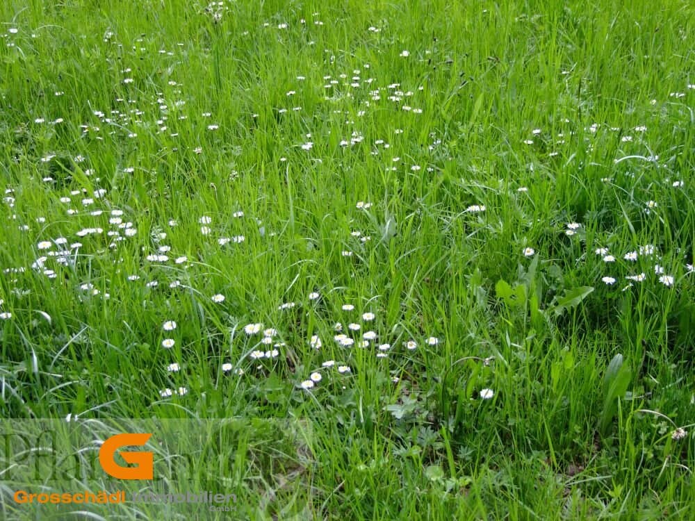 Baurecht: Gewerbegrund in Neumarkt