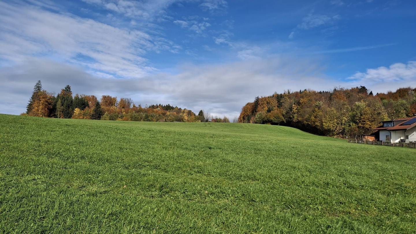 Sunny Panoramic Plot