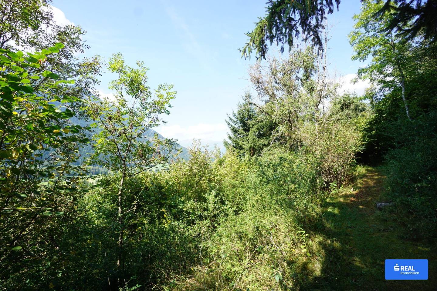 Power place on the Sonnenplateau