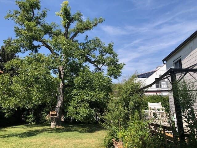 LIESING/Alterlaa - 230 m² living area on 840 m² plot with double garage