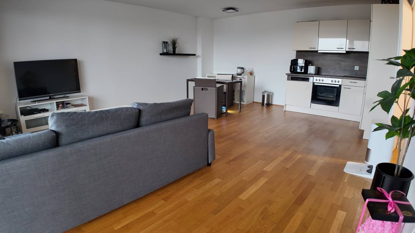 Living in the heart of Salzburg: dream apartment with terrace and mountain view