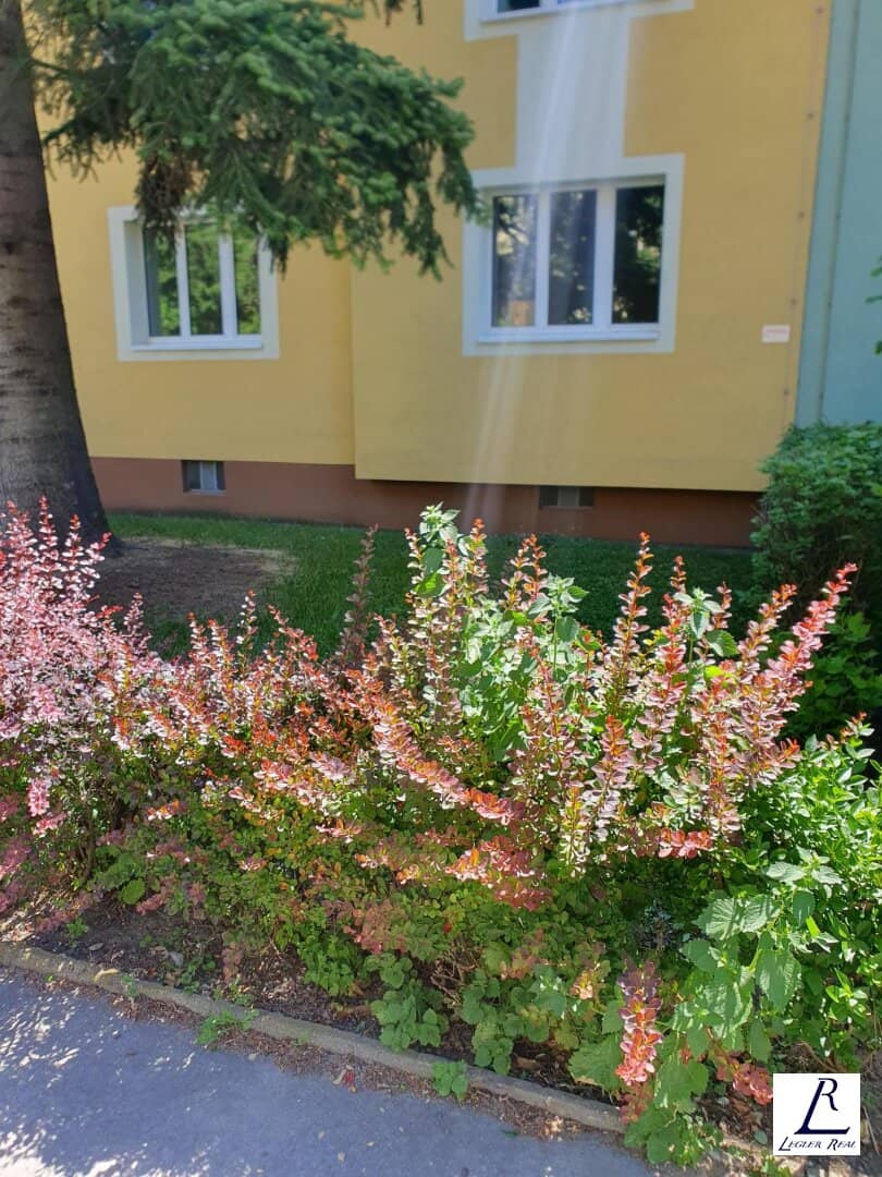 HIETZNG: Well-maintained 3-room apartment - TOP location in 1130 Wien