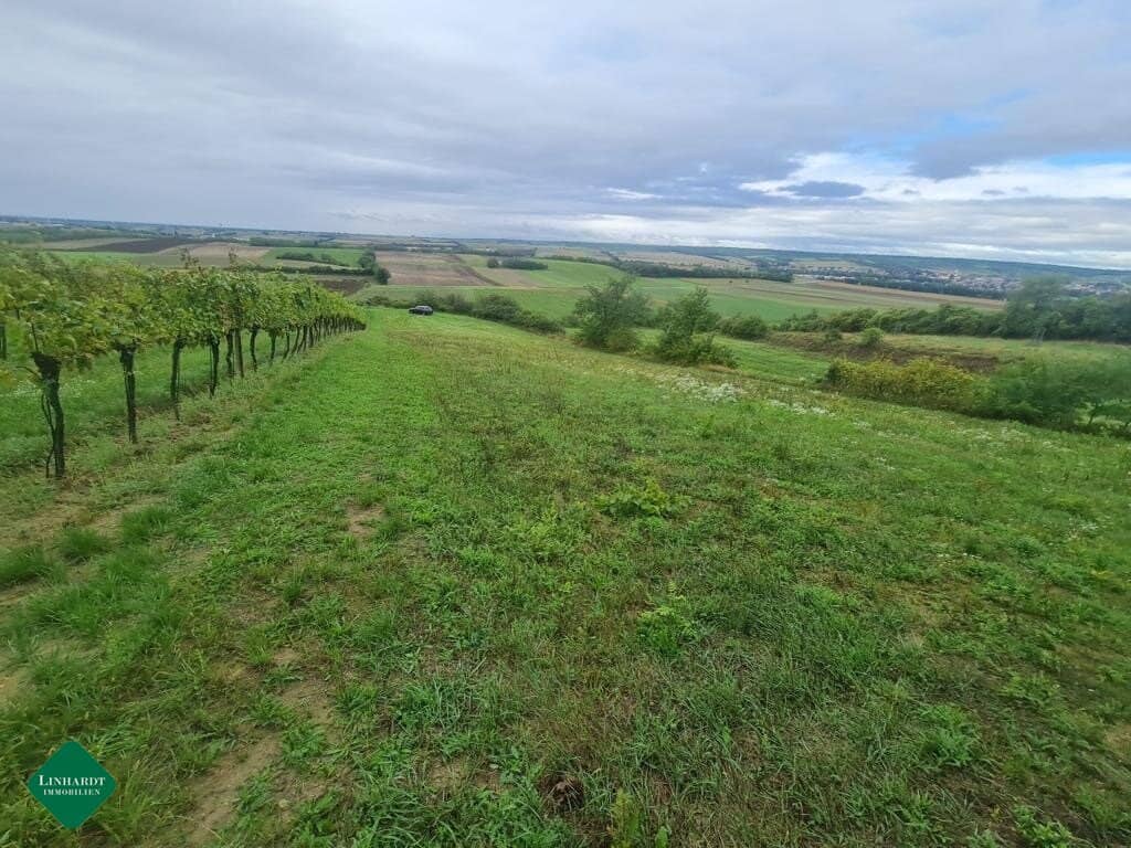 Sonniges Ackerland- Hier kann Ihr  schöner Hobbygarten entstehen
