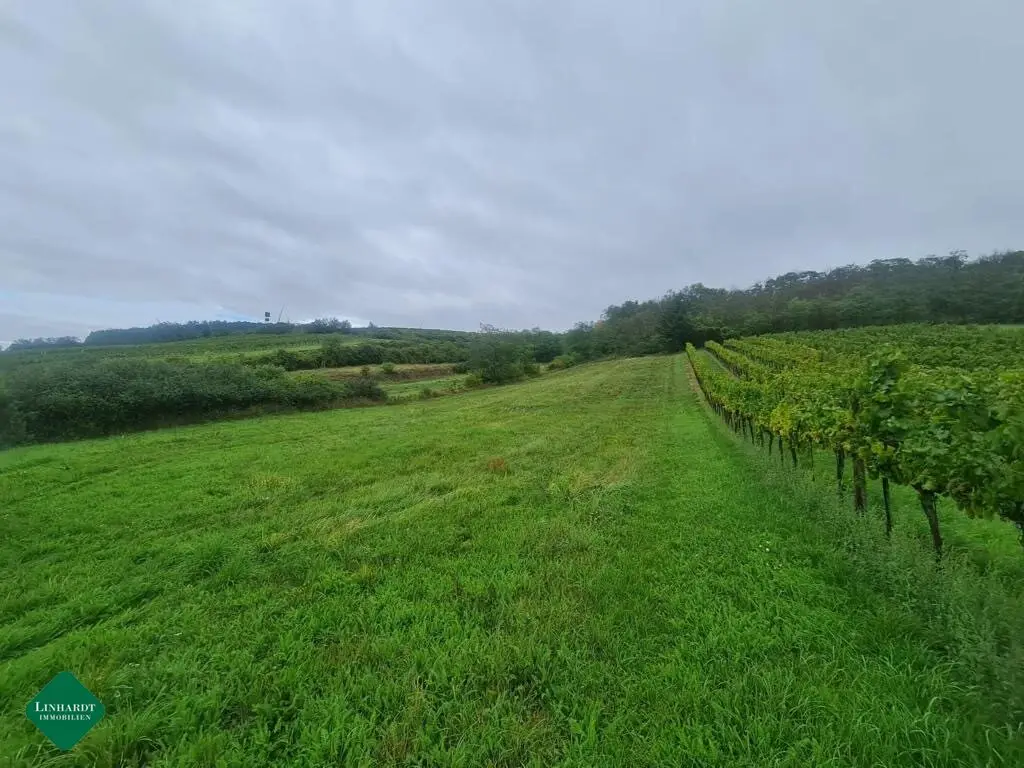 Sunny arable land where your beautiful hobby garden can take shape