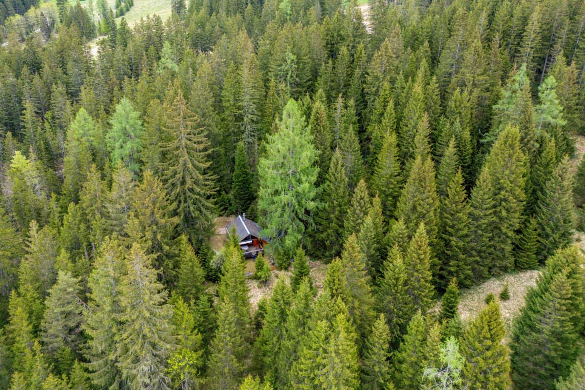 Land- / Forstwirtschaft und Hüttenromantik im steirischen Salzkammergut