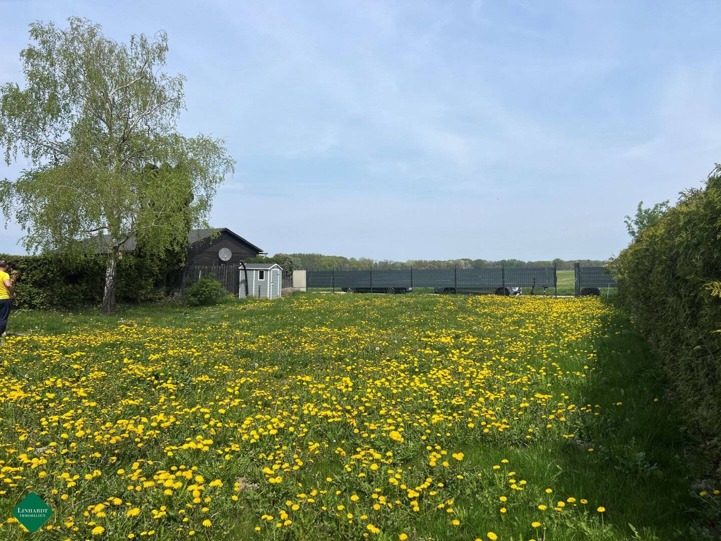 Leased plot in the Neufelder See holiday settlement