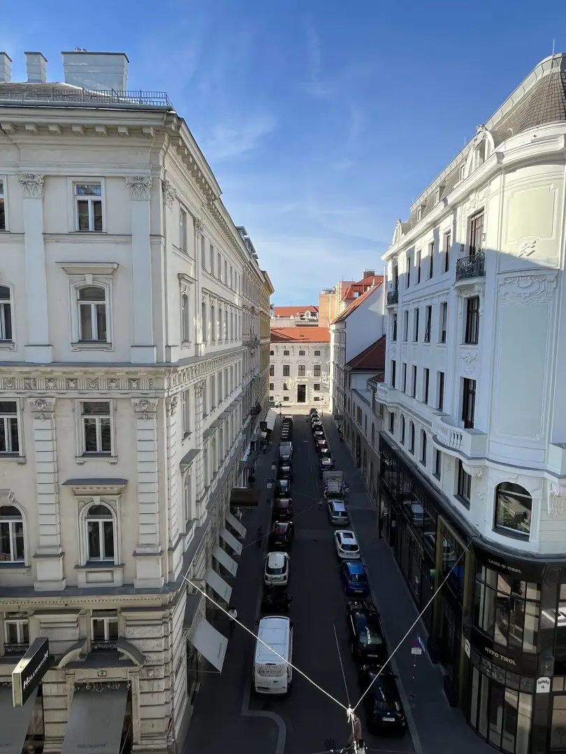 Neu renovierte 168,11 m² Bürofläche in repräsentativem Stilaltbau Nähe Staatsoper!