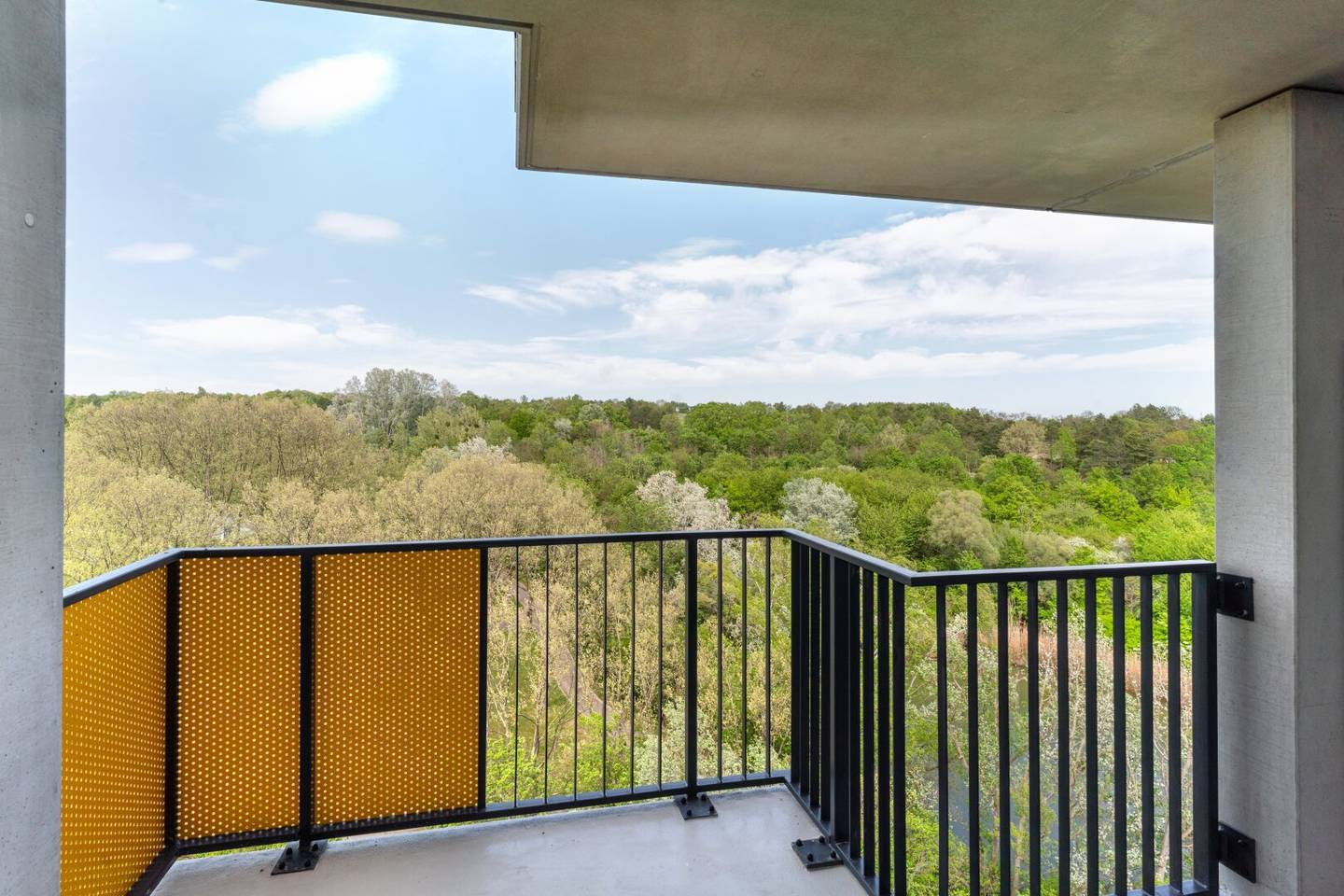 Serviced Apartment - Living with Balcony in the green Kurpark - ALL INCLUSIVE