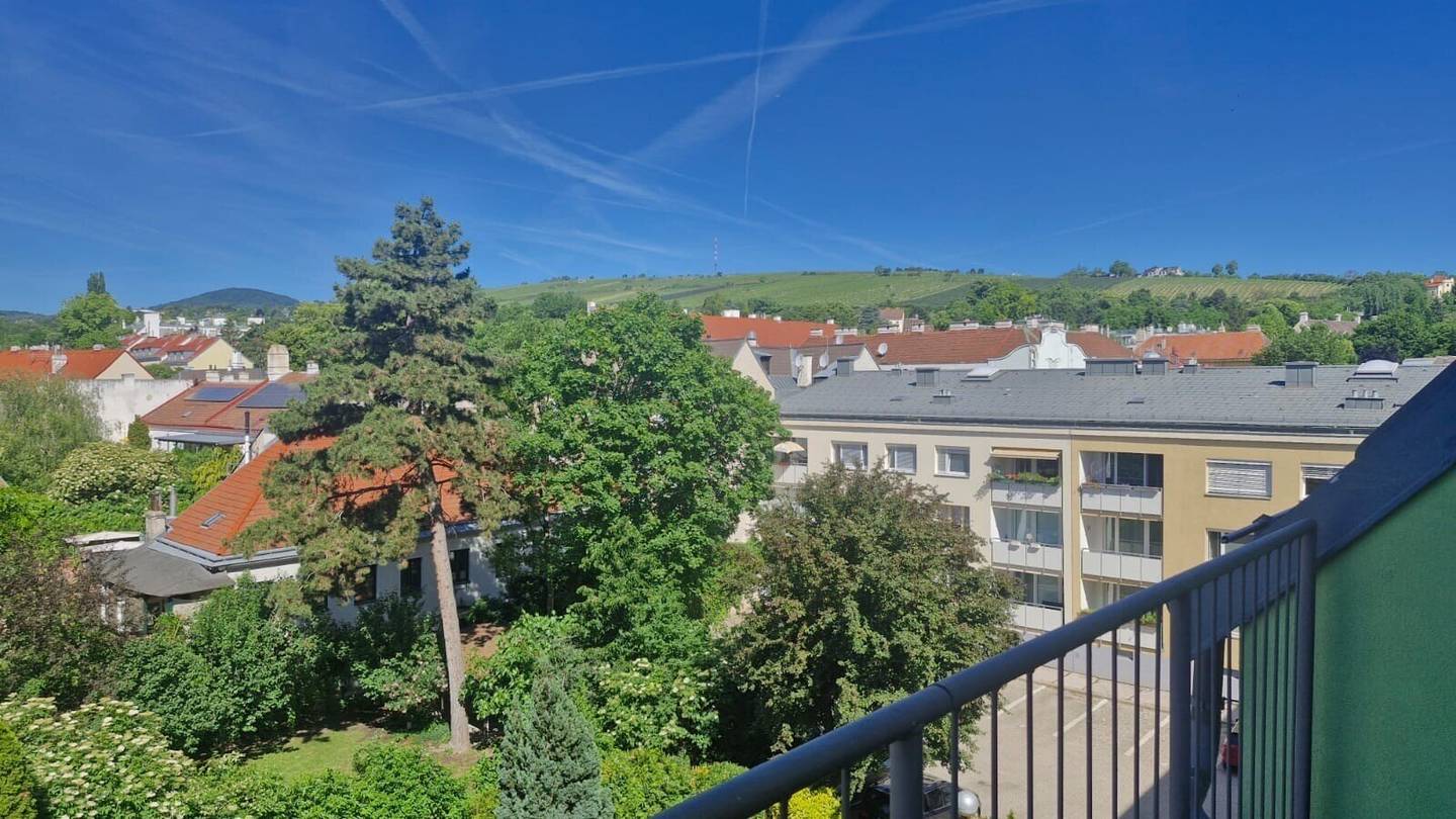 Charming condominium in Vienna's 19th district with splendid views over the surrounding vineyards
