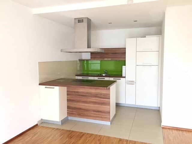 Charming condominium in Vienna's 19th district with splendid views over the surrounding vineyards