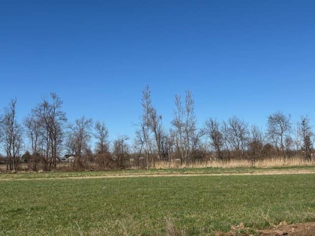 Potzneusiedl - sichern Sie ihr Kapital! sonnige Baugrundstück(e) -  OHNE BAUZWANG
