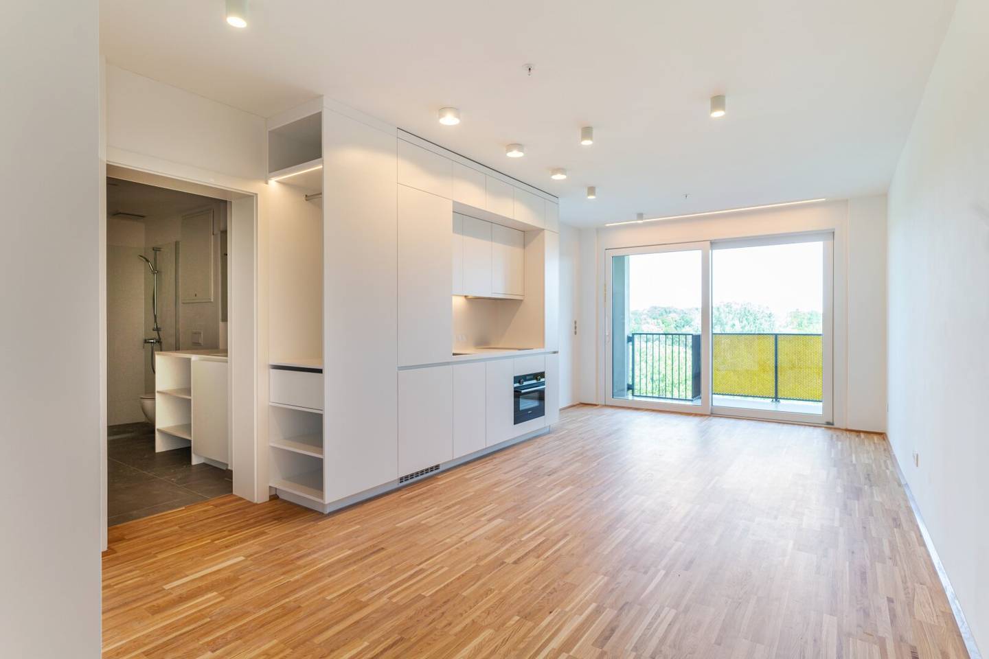 Serviced Apartment - Living with Balcony in the green Kurpark - ALL INCLUSIVE